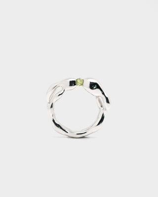 Ring - Mobius